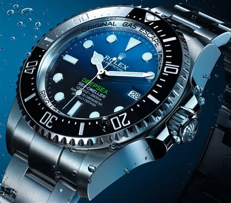 rolex diver watches